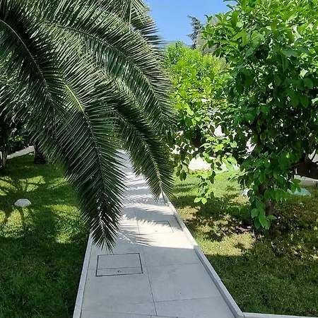 Palms Luxury Vendégház San Remo