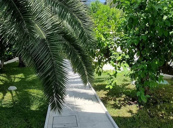 Palms Luxury Gæstehus Sanremo